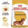 Royal Canin Dachshund Adult 7,5kg -Royal Croquettes Promos Magasin fre pl Royal Canin Dachshund Adult 7 5kg 9149 1