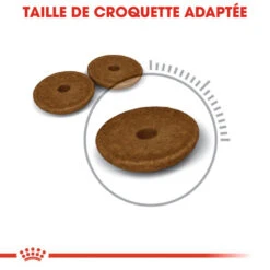Royal Canin Digestive Care 400g -Royal Croquettes Promos Magasin fre pl Royal Canin Digestive Care 400g 9166 5