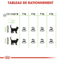 Royal Canin Digestive Care 400g -Royal Croquettes Promos Magasin fre pl Royal Canin Digestive Care 400g 9166 6