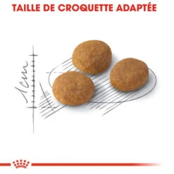 Royal Canin Exigent Aromatic Attraction 33 10kg -Royal Croquettes Promos Magasin fre pl Royal Canin Exigent Aromatic Attraction 33 10kg 9175 3