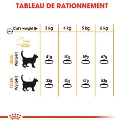 Royal Canin Hair&Skin Care 2kg 13 Royal Canin Hair&Skin Care 2kg -Royal Croquettes Promos Magasin fre pl Royal Canin Hair Skin Care 2kg 16021 5