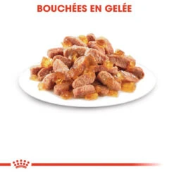Royal Canin Kitten Instinctive En Gelée 12x85g -Royal Croquettes Promos Magasin fre pl Royal Canin Kitten Instinctive en Gelee 12x85g 9173 4