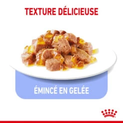 Royal Canin Light Weight Care 12x85g -Royal Croquettes Promos Magasin fre pl Royal Canin Light Weight Care 12x85g 9093 3