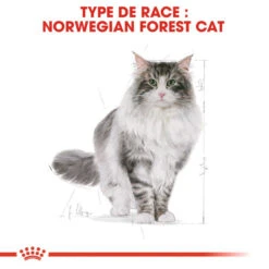 Royal Canin Norwegian Forest Cat Adult 400g -Royal Croquettes Promos Magasin fre pl Royal Canin Norwegian Forest Cat Adult 400g 9017 1