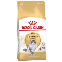 Royal Canin Norwegian Forest Cat Adult 400g -Royal Croquettes Promos Magasin fre pl Royal Canin Norwegian Forest Cat Adult 400g 9017 5