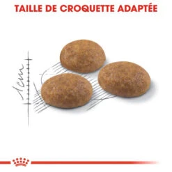 Royal Canin Outdoor 400g -Royal Croquettes Promos Magasin fre pl Royal Canin Outdoor 400g 8663 3