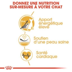 Royal Canin Sphynx Adult 10kg 10 Royal Canin Sphynx Adult 10kg -Royal Croquettes Promos Magasin fre pl Royal Canin Sphynx Adult 10kg 9162 3