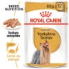 Royal Canin Yorkshire Terrier Adult 12x85g 1 Royal Canin Yorkshire Terrier Adult 12x85g -Royal Croquettes Promos Magasin fre pl Royal Canin Yorkshire Terrier Adult 12x85g 9108 1