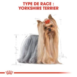 Royal Canin Yorkshire Terrier Adult 12x85g -Royal Croquettes Promos Magasin fre pl Royal Canin Yorkshire Terrier Adult 12x85g 9108 6