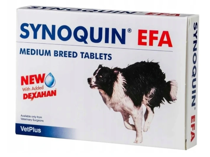 SYNOQUIN EFA Races Moyennes 30 Tabs 3 SYNOQUIN EFA Races Moyennes 30 Tabs