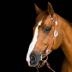 TickLess Cheval Sans Tique - Marron -Royal Croquettes Promos Magasin fre pl TickLess Cheval sans tique marron 26621 3