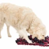 Trixie Jeu D'activité Sniffing Carpet 50x34cm 1 Trixie Jeu D'activité Sniffing Carpet 50x34cm -Royal Croquettes Promos Magasin fre pl Trixie Jeu dactivite Sniffing Carpet 50x34cm 11554 1