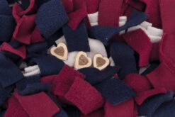 Trixie Jeu D'activité Sniffing Carpet 50x34cm 13 Trixie Jeu D'activité Sniffing Carpet 50x34cm -Royal Croquettes Promos Magasin fre pl Trixie Jeu dactivite Sniffing Carpet 50x34cm 11554 6