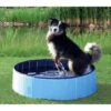 Trixie Piscine Pour Chien 160x30cm -Royal Croquettes Promos Magasin fre pl Trixie Piscine pour chien 160x30cm 16388 1