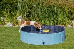 Trixie Piscine Pour Chien 80x20cm -Royal Croquettes Promos Magasin fre pl Trixie Piscine pour chien 80x20cm 16389 5