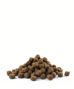 Versele-Laga Opti Life Adult Digestion Medium&Maxi Agneau Avec Riz 12,5 Kg -Royal Croquettes Promos Magasin fre pl Versele Laga Opti Life Adult Digestion Medium Maxi Agneau Avec Riz 12 5 kg 15482 3