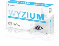 Wyzium 2x20 Comprimés