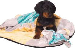 ZOLUX Jouet CHIQUITOS - Paresseux - Doudou 8 ZOLUX Jouet CHIQUITOS - Paresseux - Doudou -Royal Croquettes Promos Magasin fre pl ZOLUX Jouet CHIQUITOS Paresseux Doudou 28849 3