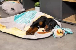 ZOLUX Jouet CHIQUITOS Paresseux Avec Ficelle 9 ZOLUX Jouet CHIQUITOS Paresseux Avec Ficelle -Royal Croquettes Promos Magasin fre pl ZOLUX Jouet CHIQUITOS paresseux avec ficelle 28850 4