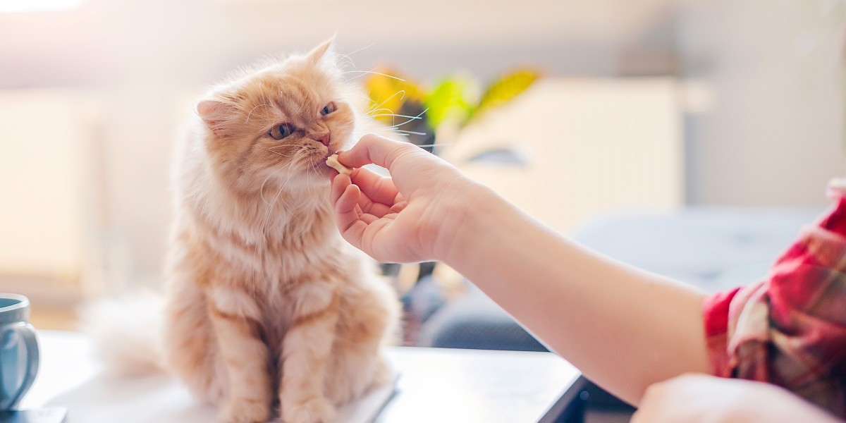 Royal Croquettes Promos Magasin -Royal Croquettes Promos Magasin eco article batch 113 cat supplements